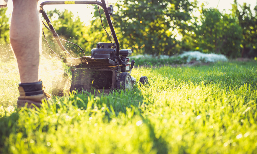 How to Care your Lawn &amp; Landscaping Before Winter? 