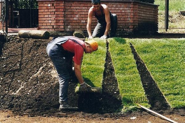 Garden Cleaning