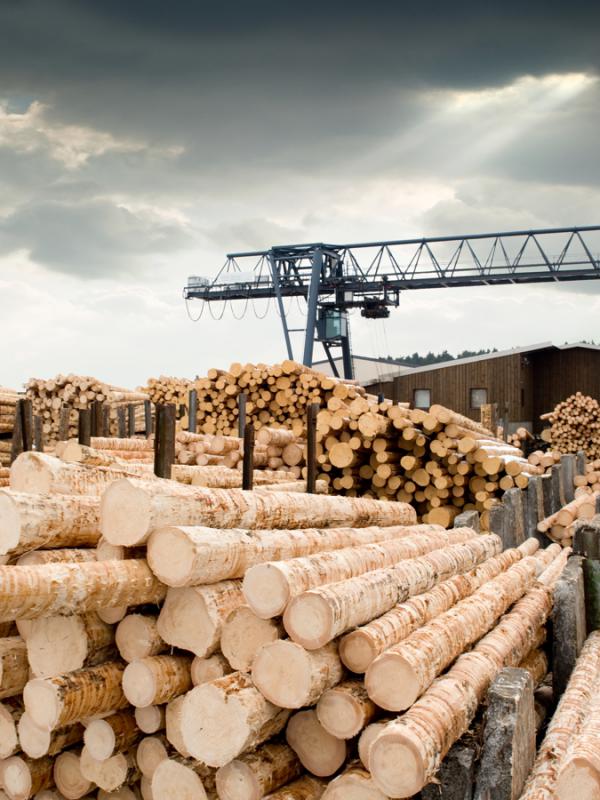 Wooden Transport